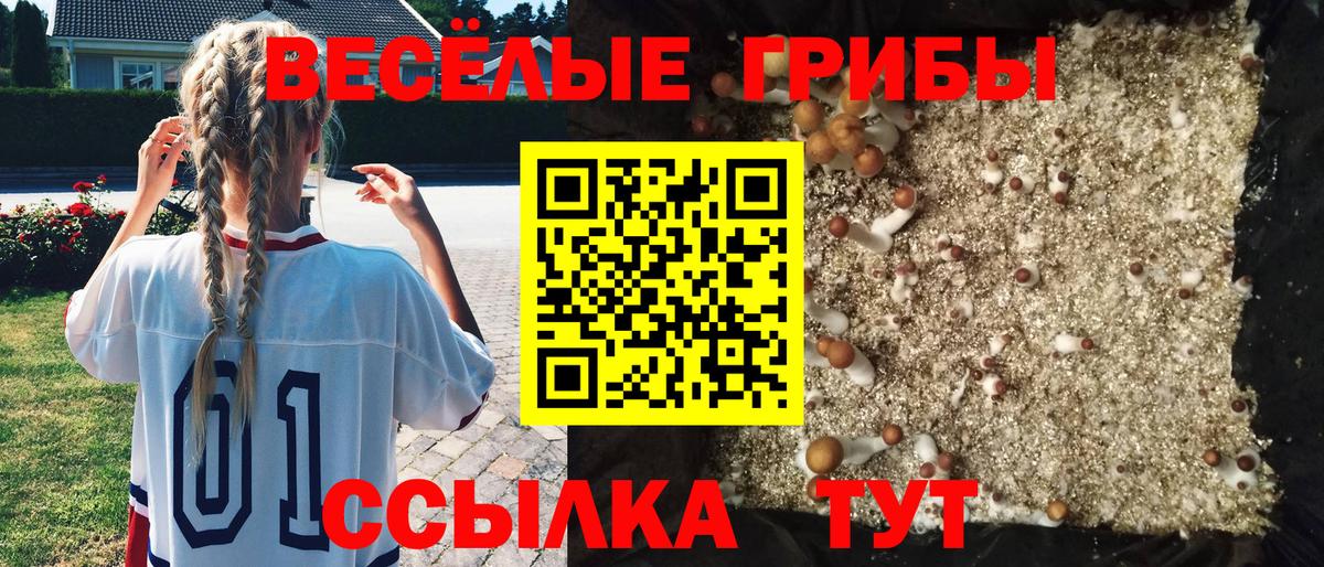 Пыть-Ях  Псилоцибиновые грибы Psilocybe  Вход с VPN 