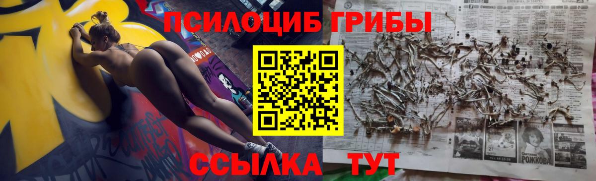 Галлюциногенные грибы мицелий Пыть-Ях